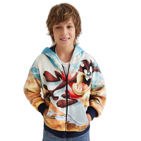 Desigual Junior Looney Tunes Hoodie