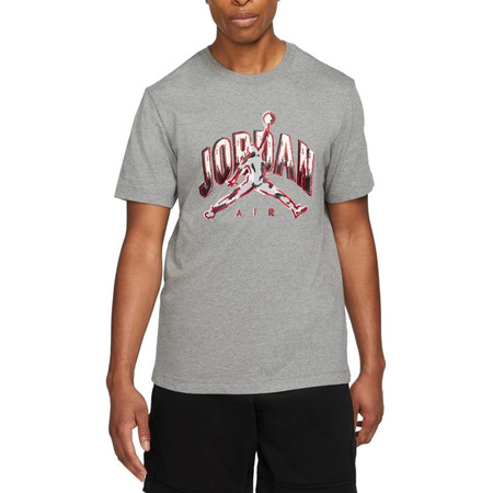 Jordan Air Logo Men's Short-Sleeve T-Shirt "Carbon Heather"