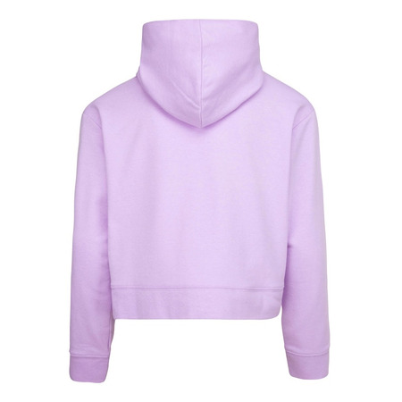 Jordan Girls Essentials Shine Pullover Hoodie "Lilac"