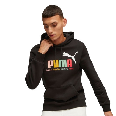 Puma ESS+ Multicolor Hoodie FL "Black"