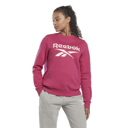 Reebok  Identity Logo Fleece Hoodie