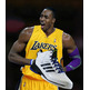 Adidas Dwight Howard Light (white/black/purple)