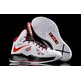 Lebron X "Home" (100/white/red/black)