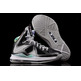 LeBron X "Prism" (004/black/strata grey)