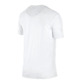 LeBron Dri-FIT Darko Men's T-Shirt (white)