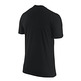 LeBron Dri-FIT Carbon Fiber Logo Bball T-Shirt (010/black)