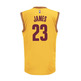 Adidas Camiseta Réplica Lebron James Cavaliers (amarillo/burdeos)