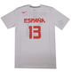 Nike Logo Spain Replica Jersey Marc Gasol #13# (102/white)