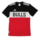 Adidas NBA Bulls Winter Hoops Tee Men´s (black/white/red)