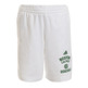 Adidas NBA Washed Boston Celtics Short Men´s (white/green)