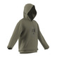 Adidas Basics Emblem Graphic Hoodie