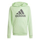 Adidas Junior Big Logo Essentials Cotton Hoodie "Green Mint"