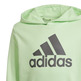 Adidas Junior Big Logo Essentials Cotton Hoodie "Green Mint"