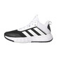 Adidas Ownthegame 2.0 "Black and White"