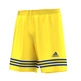 Adidas Short Entrada 12 Sho  (yelow/royal)