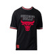 Camiseta Mesh Oversized NBA Chicago Bulls Team # 23 Jordan #