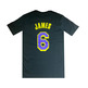 Camiseta NBA L.A Lakers NBA Script # 6 JAMES #