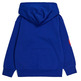 Champion Kids Basketball Logo Fleece Hoodie "Blue"