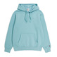 Champion Rochester Tonal C Logo Fleece Hoodie "Honeydew"