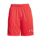 Jordan DNA Short