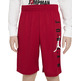 Jordan Kids Vert Mesh Short "Gym Red"