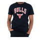 New Era NBA Chicago Bulls Logo Tee # 11 DE ROZAN #