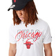 New Era NBA Chicago Bulls NBA Script Tee "White"