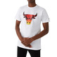 New era NBA Chicago Bulls Summer City Infill