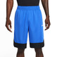 Nike Basketball Shorts Dri-FIT Icon "Game Royal"