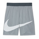 Nike Dri-Fit Boys´ Basketball Shorts "Gray"