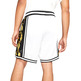 Nike Dri-FIT DNA+ Basketball Shorts