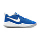 Nike Team Hustle Quick 2 (GS) "Royal Dream"