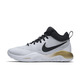 Nike Zoom Rev 2017 "Golden Land" (107)