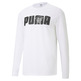 Puma Basketball Franchise Street Long Sleeve Tee