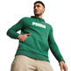 Puma ESS+ 2 Col Big Logo Hoodie TR