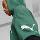 Puma Power Colorblock Hoodie TR " Vine"